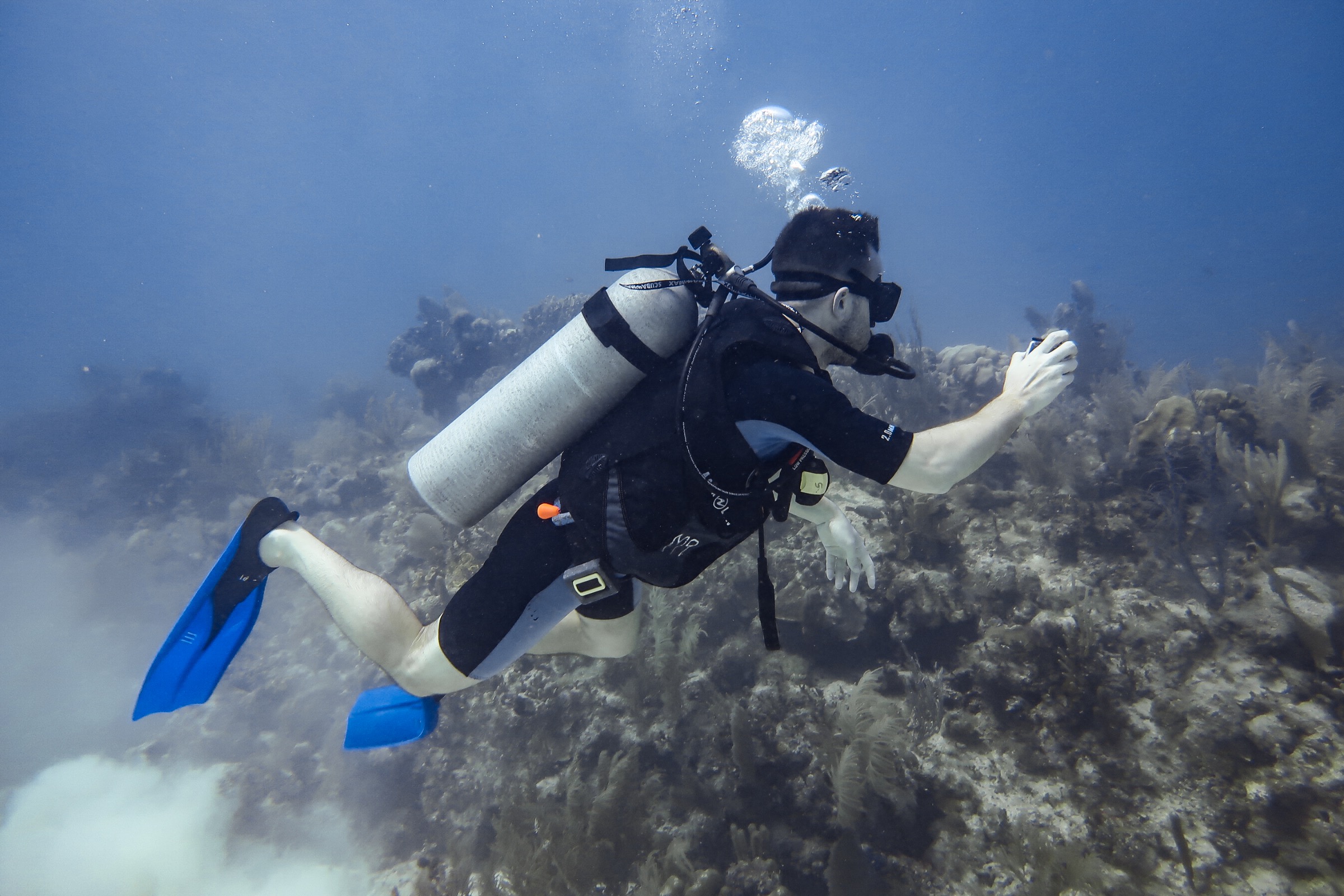 Scuba diving over reef